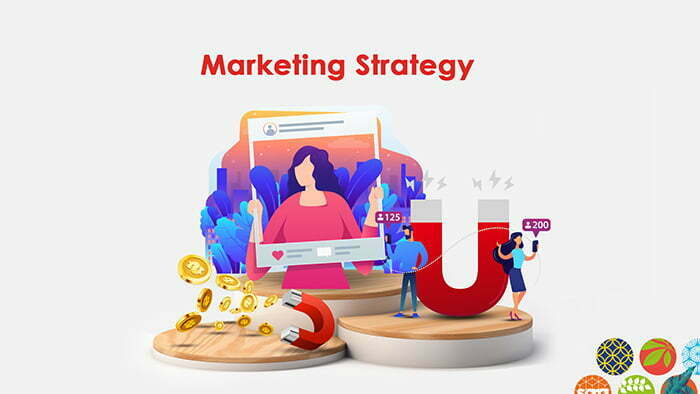 Influencer Marketing Strategy