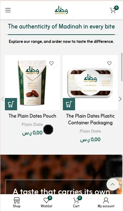 Website design and development — WADAA